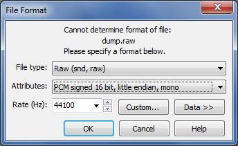 File Format